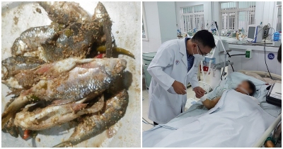 Từ vụ ngộ độc cá chép muối bác sĩ cảnh báo độc tố gây chết người Botulinum